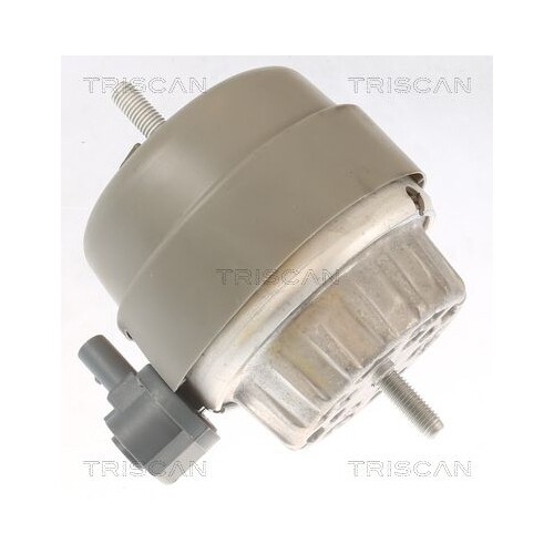 Cuscinetto motore triscan - 1x,