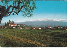 MARIAPOLI LOPPIANO - INCISA