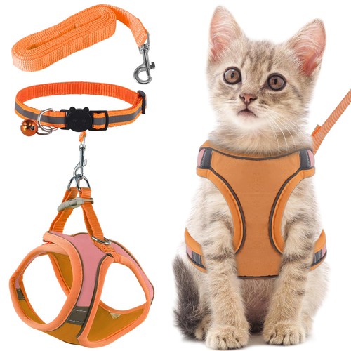 Pettorina gatto guinzaglio - gatto, per