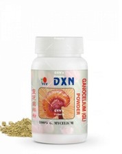 Mycelium di Reishi/Ganoderma