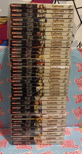 Kekkaishi professione
