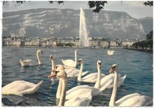 BR2426 Svizzera Geneve Vue sur la Ville et le Salève Viaggiata 1962 verso Roma