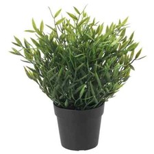 Pianta in vaso Ikea FEJKA