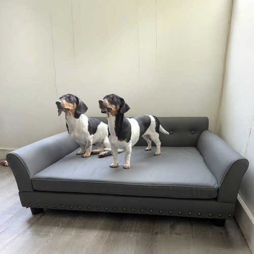 Divano per cani - , lusso