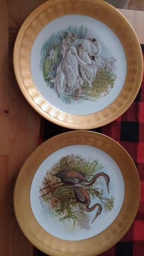 Coppia piatti porcellana - piatti,