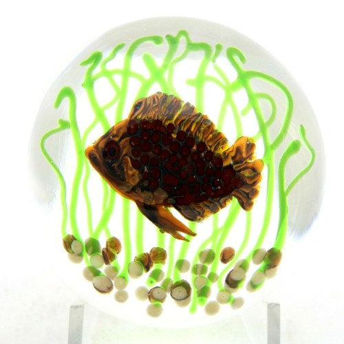 Scarce incredibile janet - scarce,