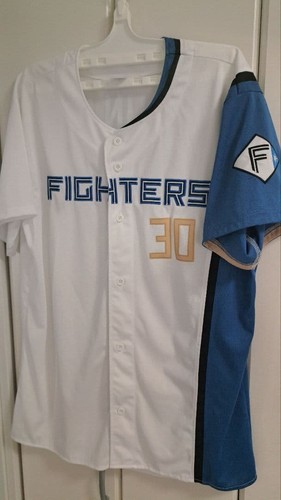 Hokkaido nippon ham fighters - hokkaido,