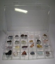 SAFE Box per minerali fossili, cristalli, conchiglie 