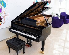 Pianoforte a coda da concerto