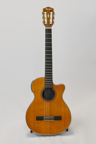 Chitarra concerto shadow - chitarra,