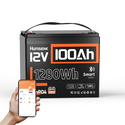 Humsienk lifepo4 100ah - 100ah, 12v