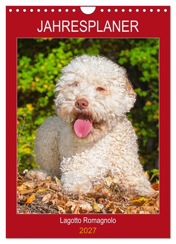 Jahresplaner lagotto romagnolo - jahresplaner,