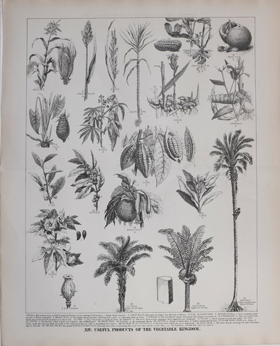 1889 stampa prodotti - prodotti, utili