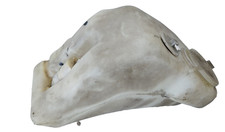 vaschetta tergicristallo