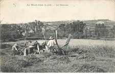 47 IL MONT CLAR #27297 LE