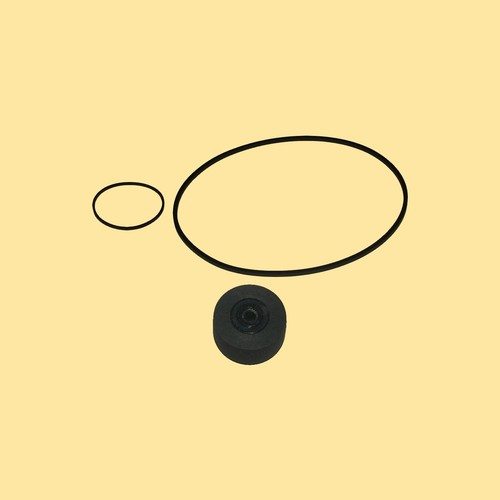 Cinghia rullo pressione - , kit