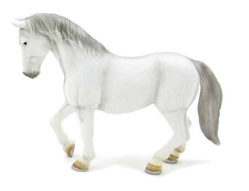 Mojo animali cavalli horses - cavalli,