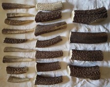 palco corna di cervo in pezzi