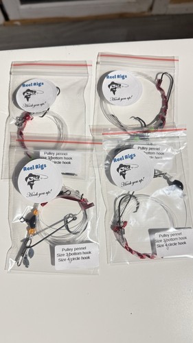 Puleggia pennel rig - 4,