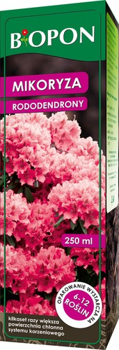 Micorrize per rododendri - micorrize,