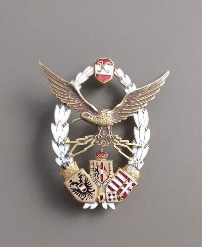 Distintivo osservatore