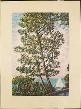 MICHELE CASCELLA serigrafia cm 60 x 80 firmata pubblicata - no faccincani bueno