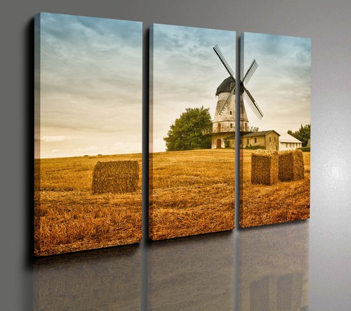 Campo grano mulino quadro - e,