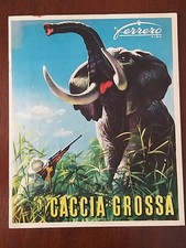 ***CACCIA GROSSA*** ALBUM