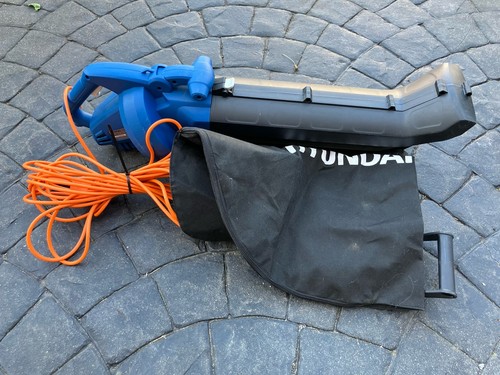 Soffiatore elettrico foglie