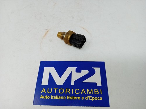 Bulbo termostato radiatore - termostato,