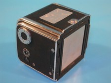 Pellicola posteriore