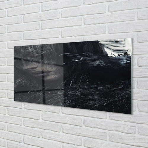 Tulup vetro acrilico - , 100x50