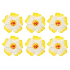 Fiori di Ibisco Hawaiano, 6