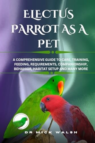 Electus parrot pet - parrot,