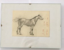 Bozzetto Originale Di Giulio