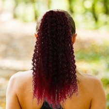 Extension coda di cavallo