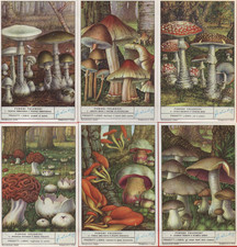 FIGURINE LIEBIG SERIE COMPLETA