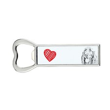 Setter inglese I apriporta con