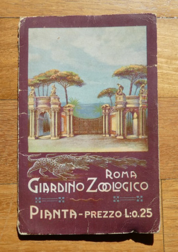 Pianta del giardino zoologico - pianta,
