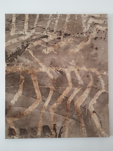 Franca pisani esposizione - franca,