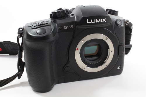 Panasonic lumix gh5 - dc-gh5, body