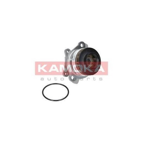 T0222 pompa acqua kamoka - kamoka, per