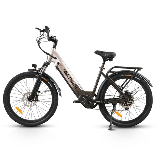 Bici elettrica l26 adulti 250w - elettrica,