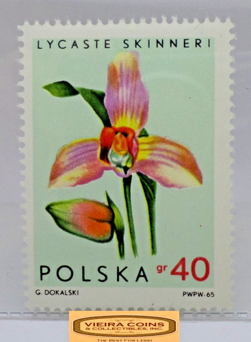 1965 polonia lycaste skinneri - polonia,