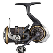Mulinello da Pesca Daiwa 21