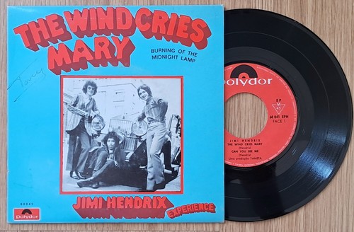 Jimi hendrix experience the - hendrix,