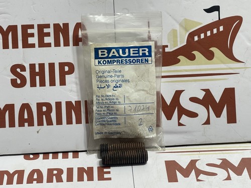 Bauer compressori 71074 corpo