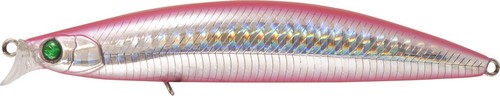 Bayliner bleeding iwashi - -,