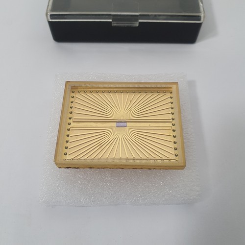 Rarissimo processore chip