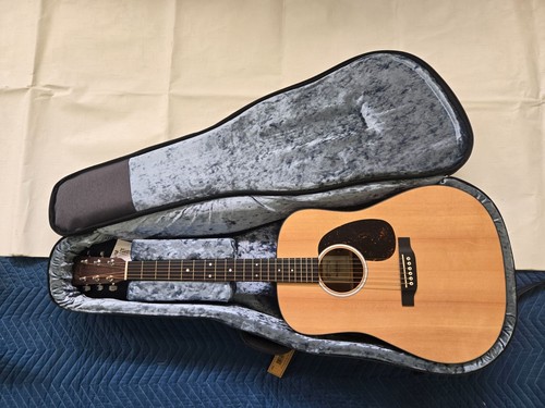 Chitarra elettrica acustica
